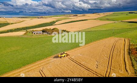 Kombinieren Sie Harvester Crovie Aberdeenshire Scotland Gerstenfelder im Spätsommer und einen dunklen Himmel Stockfoto