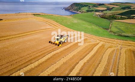 Kombinieren Sie Harvester Crovie Aberdeenshire Scotland Blue Sea und ein goldenes Gerstenfeld im Spätsommer Stockfoto