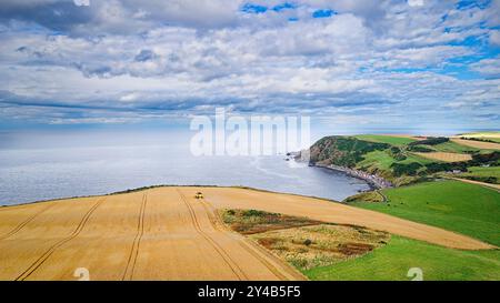 Kombinieren Sie Harvester Crovie Aberdeenshire Scotland Blue Sea und ein riesiges Gerstenfeld im Spätsommer Stockfoto