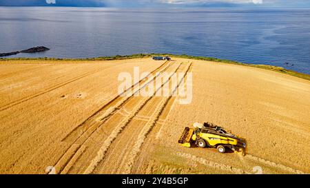 Mähdrescher Crovie Aberdeenshire Scotland Blue Sea Gerste Field im Spätsommer füllt ein Erntemaschine einen Anhänger mit Getreide Stockfoto