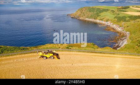 Kombinieren Sie Harvester Crovie Aberdeenshire Scotland Blue Sea Golden Gerste Field im Spätsommer Stockfoto