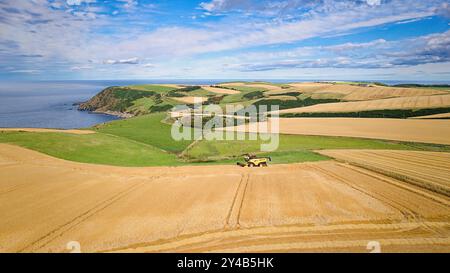 Kombinieren Sie Harvester Crovie Aberdeenshire Scotland entfernte Gerstenfelder und eine Maschine auf einem goldfarbenen Gerstenfeld im Spätsommer Stockfoto