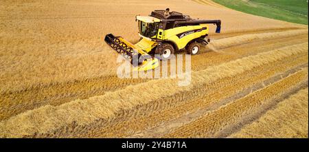 Kombinieren Sie die Harvester Crovie Aberdeenshire Scotland Maschine im Spätsommer auf dem goldfarbenen Gerstenfeld Stockfoto