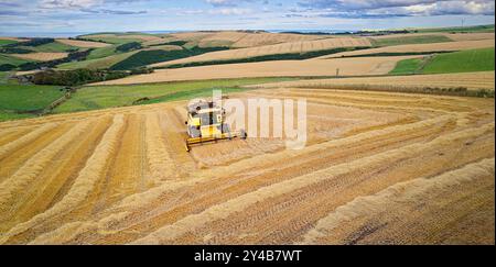 Mähdrescher Crovie Aberdeenshire Scotland die Maschine im Spätsommer auf dem goldfarbenen Gerstenfeld Stockfoto