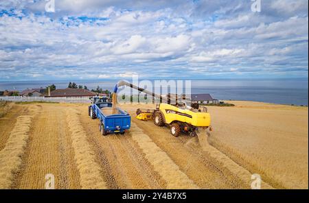 Mähdrescher Gardenstown Aberdeenshire Schottland Gerstenfeld im Spätsommer füllt der Mähdrescher einen Anhänger mit Getreide Stockfoto