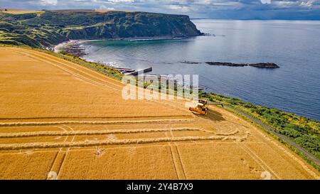 Mähdrescher Gardenstown Aberdeenshire Scotland Blue Sea ein Gerstenfeld im Spätsommer und ein Erntemaschine Stockfoto