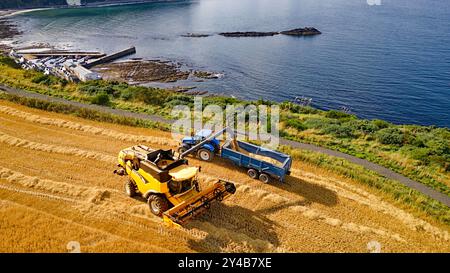 Mähdrescher Gardenstown Aberdeenshire Scotland Blue Sea Gerste Field im Spätsommer füllt ein Erntemaschine einen Anhänger mit Getreide Stockfoto