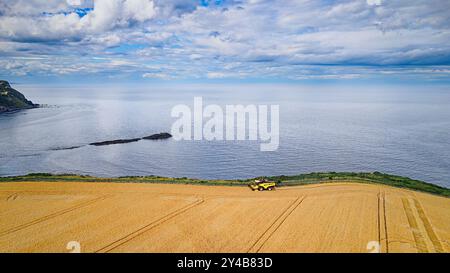 Kombinieren Sie Harvester Gardenstown Aberdeenshire Scotland das blaue Meer in der Bucht und das Gerstenfeld im Spätsommer Stockfoto