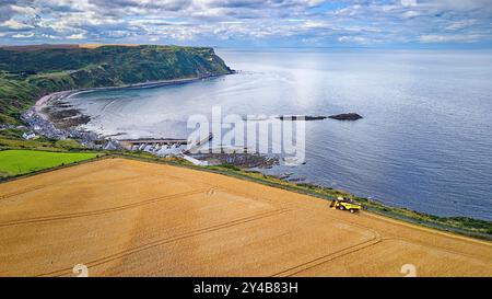 Kombinieren Sie Harvester Gardenstown Aberdeenshire Schottland das blaue Meer, den Hafen und Häuser und das Gerstenfeld im Spätsommer Stockfoto