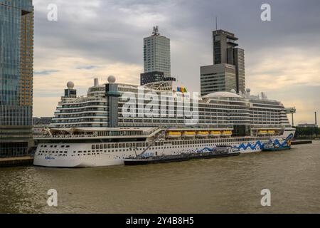 Die AIDAprima, die auf der Niuewe Maas in Rotterdam, Niederlande, vertäut ist Stockfoto