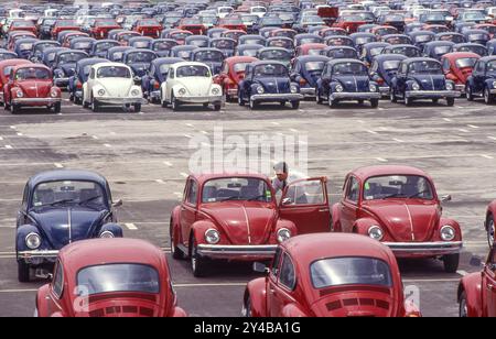 Mexiko, Puebla. Neue Volkswagen Käfer warten auf einem Parkplatz der Fabrik. Stockfoto