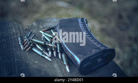 Auf dem Tisch befinden sich Kartuschen und eine Geräteklammer. Stockfoto