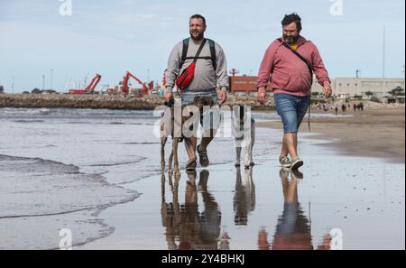 TMar del Plata. Buenos Aires. Argentinien. Wo Männer mit ihren galgo-Hunden am Strand spazieren gehen Stockfoto