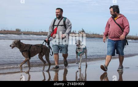 TMar del Plata. Buenos Aires. Argentinien. Wo Männer mit ihren galgo-Hunden am Strand spazieren gehen Stockfoto