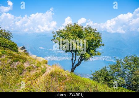 Ein atemberaubender ausblick zeigt den Comer See, umgeben von üppigen Hügeln, gesäumt von Bäumen und einem Himmel voller flauschiger Wolken. Die ruhige Landschaft zeigt die Schönheit und Ruhe der Natur. Stockfoto