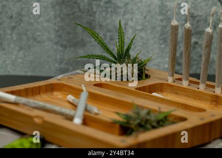 Helle Holzbox mit Fugen und frischem Marihuana und alter Steinmauer Stockfoto