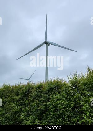 An bewölkten Tagen steht eine große, weiße Windkraftanlage hoch in einem Feld aus grünen Bäumen. Die Turbine befindet sich im Vordergrund des Bildes. Stockfoto