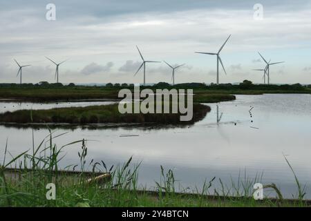 Eine Reihe von Windturbinen steht hoch vor einem bewölkten Himmel, ihre Reflexionen spiegeln sich in einem stillen, ruhigen Gewässer. Stockfoto