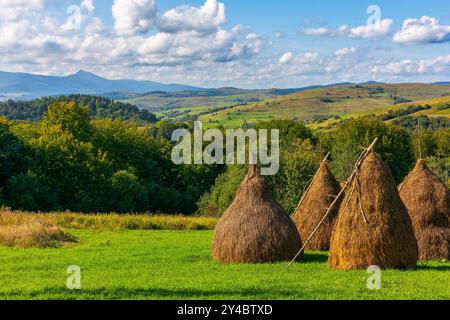 Heuhaufen auf dem Grasfeld im Herbst. Ländliche Landschaft in karpaten. Warmes, sonniges Wetter am Nachmittag Stockfoto