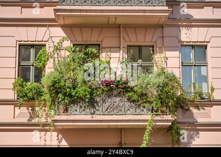 Grüner Balkon, Altbau, Kopischstraße, Kreuzberg, Berlin, Deutschland Stockfoto