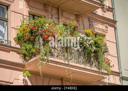 Grüner Balkon, Altbau, Kopischstraße, Kreuzberg, Berlin, Deutschland Stockfoto