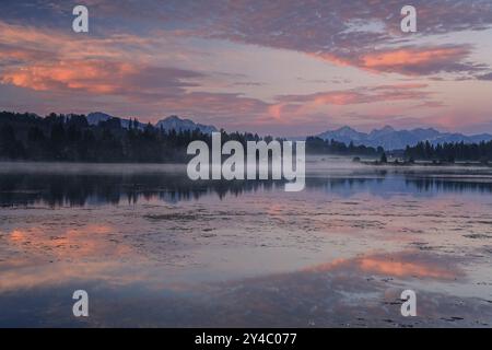 Berge spiegeln sich im See, Morgenstimmung, bewölkte Stimmung, Sommer, Nebel, Lech, bei Lechbruck, hinter den Tannheimer Alpen, Bayern, Deutschland, Europa Stockfoto