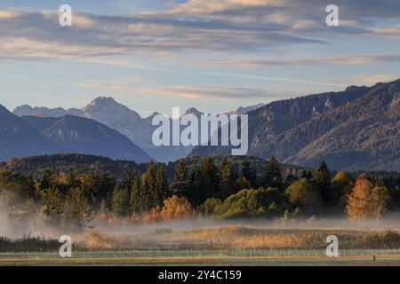 Nebelstimmung über Bäumen im Morgenlicht, Berglandschaft, Herbst, bei Murnau, hinter Wettersteingebirgen, Bayern, Deutschland, Europa Stockfoto