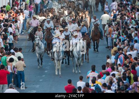 Almonte, Spanien, 26. Juni 2009, jeden 26. Juni führen Cowboys während der historischen Saca de las yeguas Wildstuten und Hengste vom Marschland Doñana nach Almonte Stockfoto