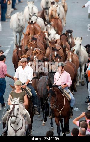 Almonte, Spanien, 26. Juni 2009, jeden 26. Juni führen Cowboys Wildstuten und Hengste während des historischen Saca de las yeguas Festivals durch Almonte. Stockfoto