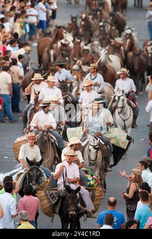 Almonte, Spanien, 26. Juni 2009, am 26. Juni führen Cowboys Wildstuten und Fohlen während des historischen Saca de las yeguas-Festes durch die Straßen von Almonte Stockfoto