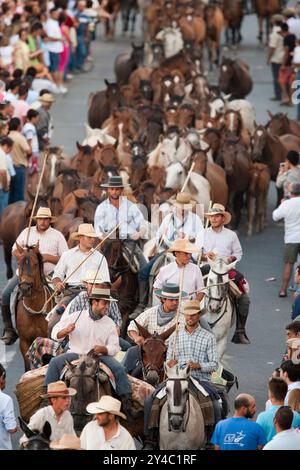 Almonte, Spanien, 26. Juni 2009, jeden 26. Juni führen Cowboys Wildstuten und Hengste während des historischen Saca de las Yeguas Festivals durch Almonte. Stockfoto