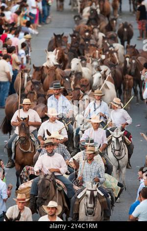 Almonte, Spanien, 26. Juni 2009, jeden 26. Juni führen die Reiter Wildstuten und Hengste vom Marschland Doñana nach Almonte, um die historische Saca de las Y zu feiern Stockfoto