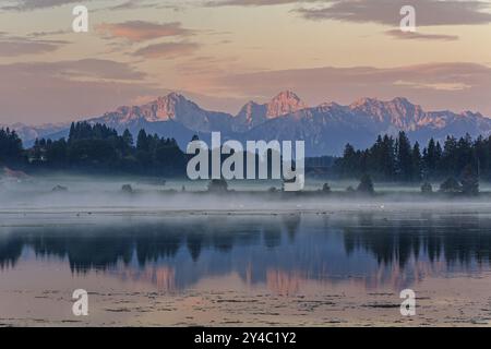 Berge spiegeln sich im See, Morgenstimmung, bewölkte Stimmung, Sommer, Nebel, Lech, bei Lechbruck, hinter den Tannheimer Alpen, Bayern, Deutschland, Europa Stockfoto