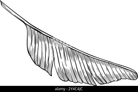 Palmblattvektorillustration in linearer Form. Umrisszeichnung eines Bananenbaums, gemalt mit schwarzer Tinte auf isoliertem Hintergrund. Ätzen exotischer tropischer Pflanzen für Grußkarten oder Einladungen. Stock Vektor