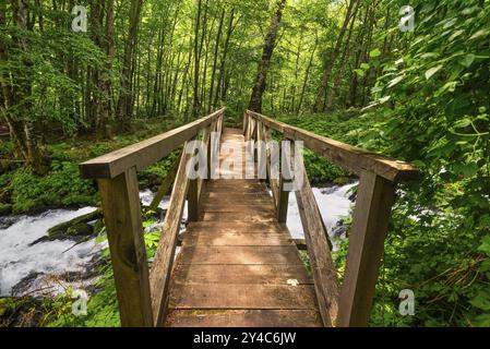 Hölzerne Brücke über den schnellen Bergfluss im Naturresort von Montenegro Stockfoto