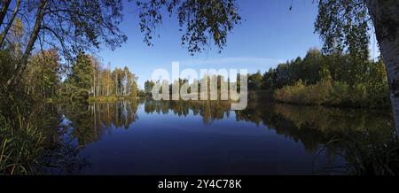 Moorsee im Pfrunger Ried bei Wilhelmsdorf Stockfoto