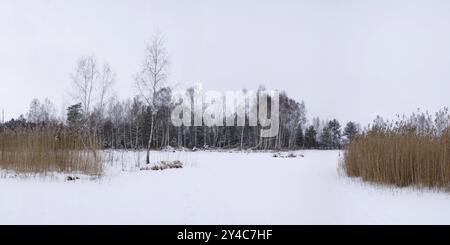 Winterlandschaft, gefrorener und schneebedeckter Moorsee in Pfrunger Ried Stockfoto