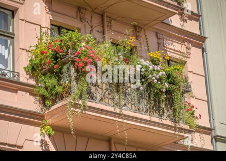 Grüner Balkon, Altbau, Kopischstraße, Kreuzberg, Berlin, Deutschland *** Grüner Balkon, altes Gebäude, Kopischstraße, Kreuzberg, Berlin, Deutschland Stockfoto