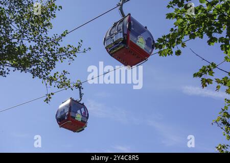 Zwei Seilbahnkabinen, die zwischen Bäumen vor klarem blauem Himmel schweben, willingen, sauerland, deutschland Stockfoto