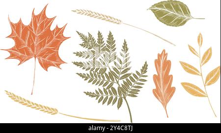 Herbstvektorblätter auf isoliertem Hintergrund. Zeichnung von herbstgetrockneten Pflanzen mit Eiche- und Ahornblättern und Farn für Erntefest oder Thanksgiving-Grußkarten oder -Einladung. Abbildung: Verzweigung. Stock Vektor
