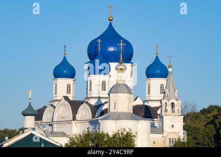 Blick auf die Kuppeln der Kathedrale von Bogolyubskaja Ikone der Gottesmutter an einem sonnigen Septembermorgen. Kloster Bogolyubsky. Region Vladimir, Stockfoto