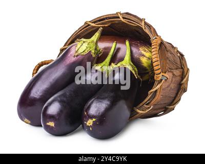 Reife Auberginen in Weidenkorb isoliert auf weiß Stockfoto