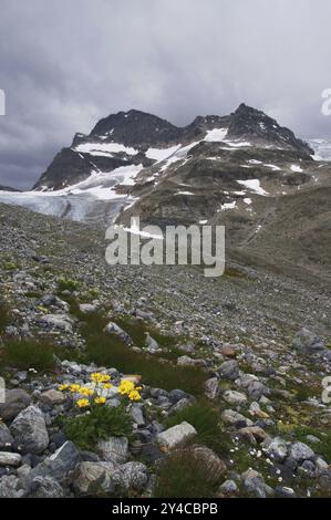 Piz Buin, Silvretta Hauptkamm, Vorarlberg, Österreich, Europa Stockfoto