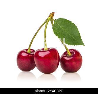 Drei rote Kirschen isoliert auf weißem Hintergrund Stockfoto