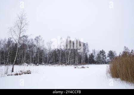 Winterlandschaft, gefrorener und schneebedeckter Moorsee in Pfrunger Ried Stockfoto