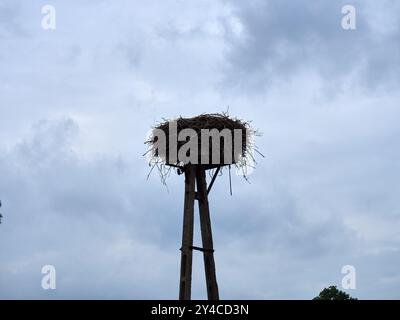 Storchennest auf einem Holzpfahl mit blauem Himmel und weißen Wolken Stockfoto