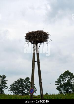 Storchennest auf einem Holzpfahl mit blauem Himmel und weißen Wolken Stockfoto