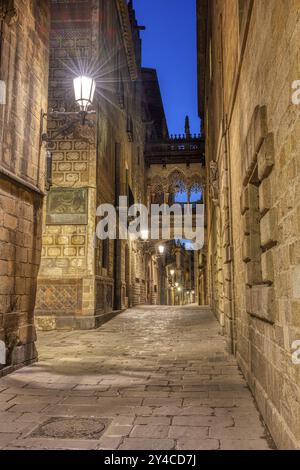 Das historische Barrio Gotico in Barcelona bei Nacht mit der Pont del Bispe Stockfoto