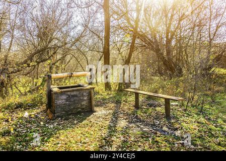 Alte hölzerne gut zeichnen und Sitzbank im Herbst Wald Stockfoto