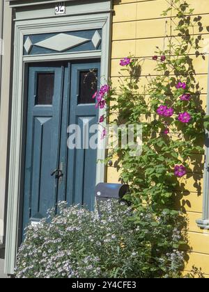 Eine blaue Holztür in einer gelben Fassade mit blühenden Pflanzen in der Sonne, trondheim, norwegen Stockfoto